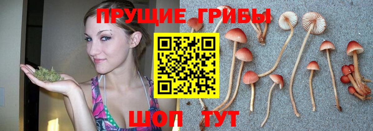 Псилоцибиновые грибы MAGIC MUSHROOMS Волгодонск
