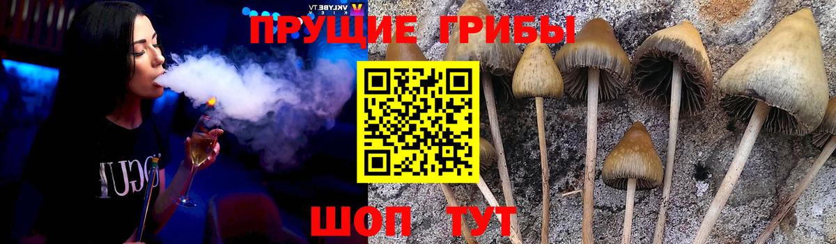Псилоцибиновые грибы ЛСД  Вход с VPN  магазин продажи наркотиков  Волгодонск 